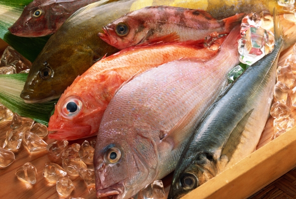 SEAFOOD